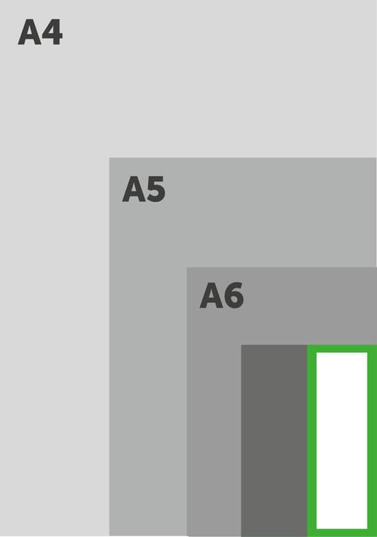 1000 Flashcards schoolpakket  - thumbnail 5